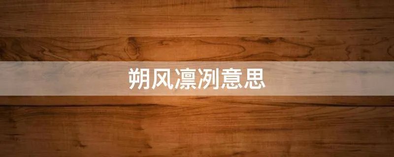 朔风凛冽意思