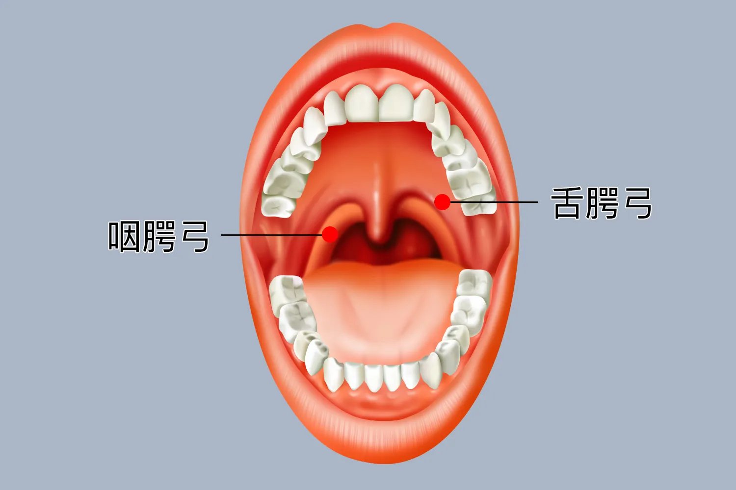 咽拭子采样三个部位的具体图片