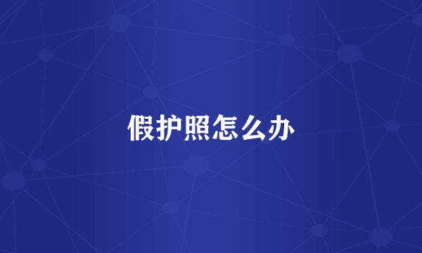 假护照怎么办