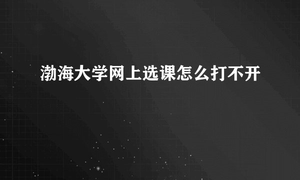 渤海大学网上选课怎么打不开