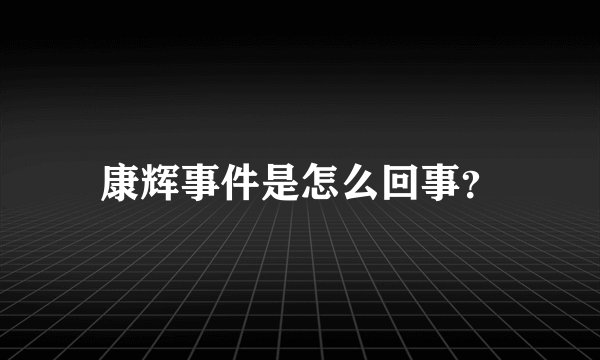 康辉事件是怎么回事？