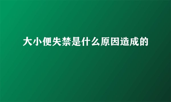 大小便失禁是什么原因造成的