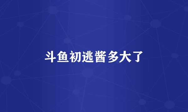 斗鱼初逃酱多大了
