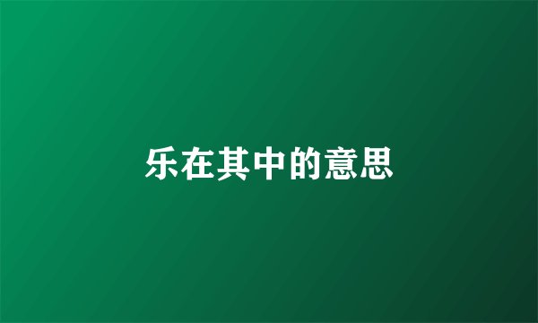 乐在其中的意思