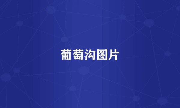 葡萄沟图片