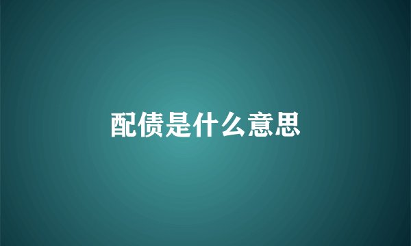 配债是什么意思