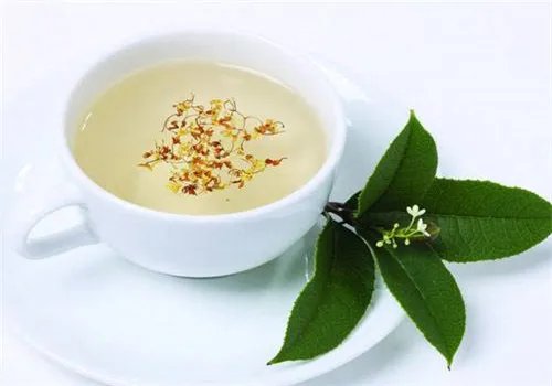 桂花茶的制作方法有哪些 三种自制桂花茶做法推荐