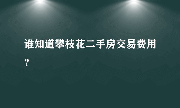 谁知道攀枝花二手房交易费用？
