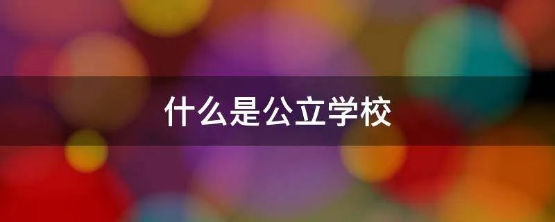 什么是公立学校