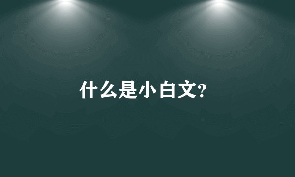 什么是小白文？