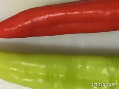 辣椒炒肉片怎么做?