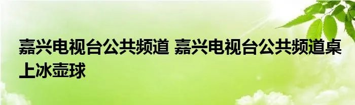 嘉兴电视台公共频道 嘉兴电视台公共频道桌上冰壶球