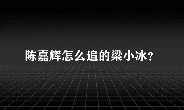 陈嘉辉怎么追的梁小冰？