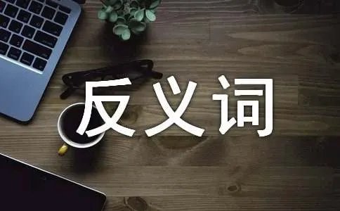 舍本逐末的反义词