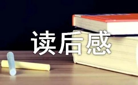 《像天使一样美丽》读后感