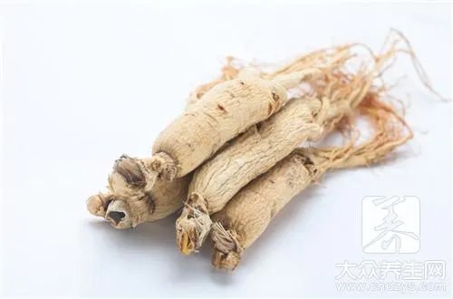 沙漠人参怎么吃