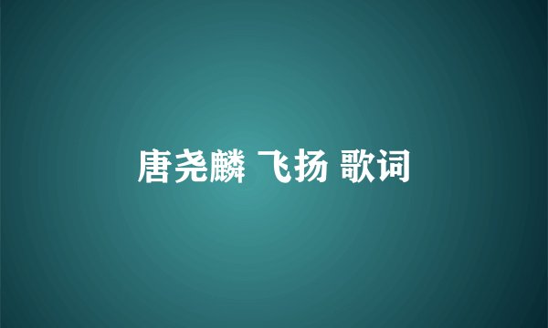 唐尧麟 飞扬 歌词