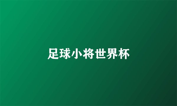足球小将世界杯