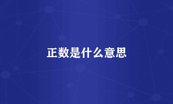 正数是什么意思