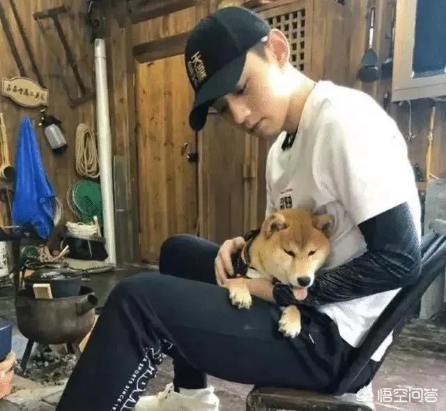 景甜张继科分手了大家怎么看?