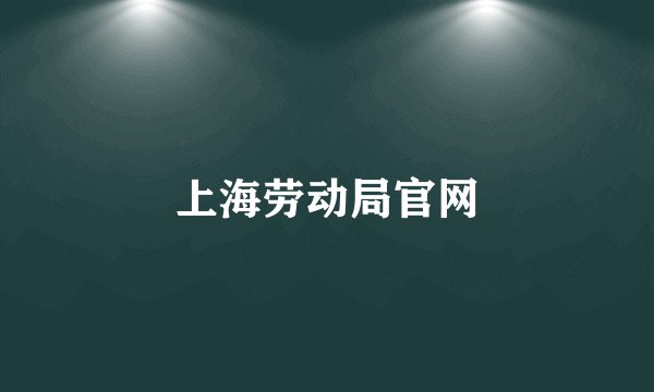上海劳动局官网