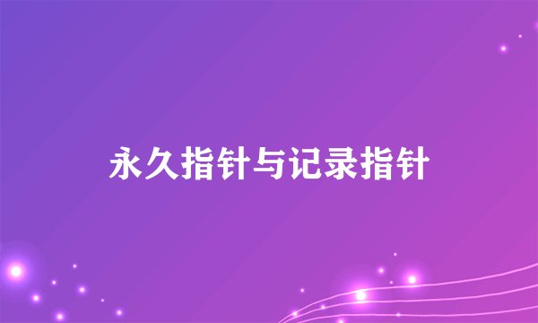 永久指针与记录指针