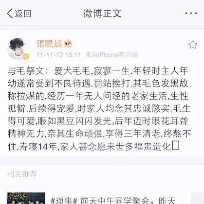 如何评价演员张晓晨?