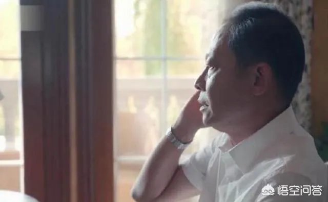 你怎么看电视剧《归去来》中王志文扮演的书望?