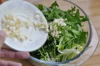 凉拌苦菊
