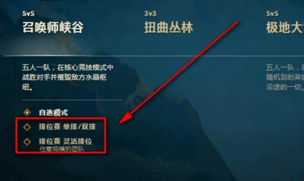 打排位是什么意思啊