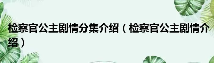 检察官公主剧情分集介绍（检察官公主剧情介绍）