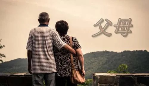 我的父母作文