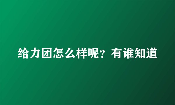 给力团怎么样呢?有谁知道