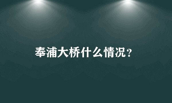 奉浦大桥什么情况?