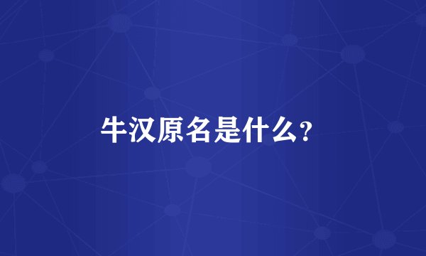 牛汉原名是什么?
