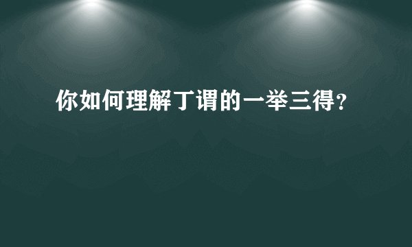 你如何理解丁谓的一举三得？