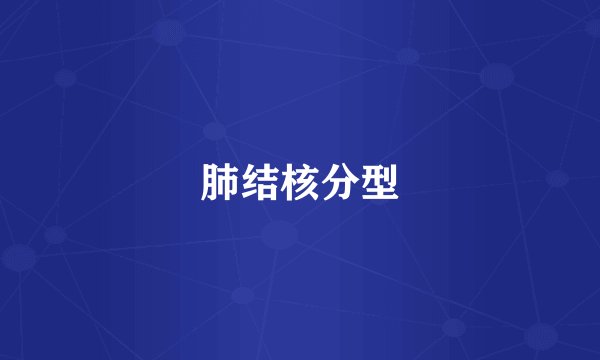 肺结核分型