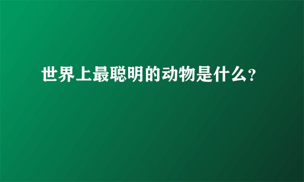 世界上最聪明的动物是什么？
