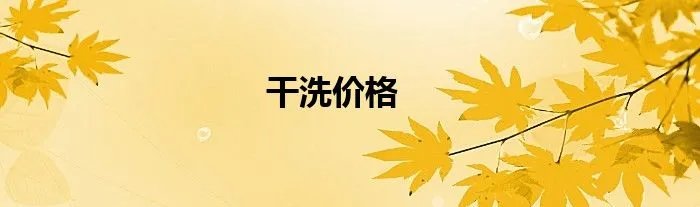 干洗价格