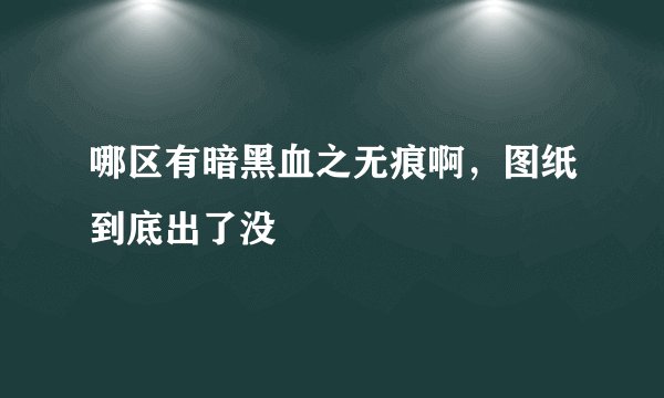 哪区有暗黑血之无痕啊,图纸到底出了没