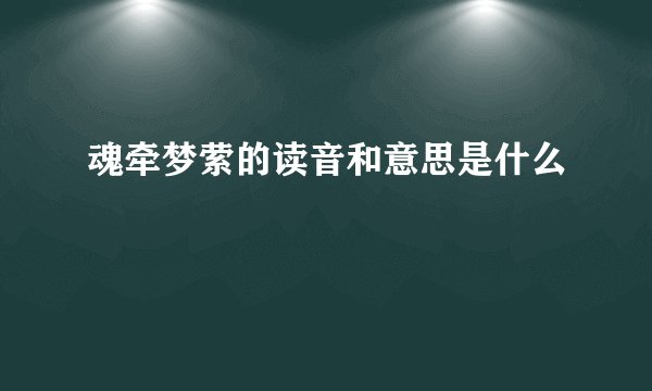 魂牵梦萦的读音和意思是什么