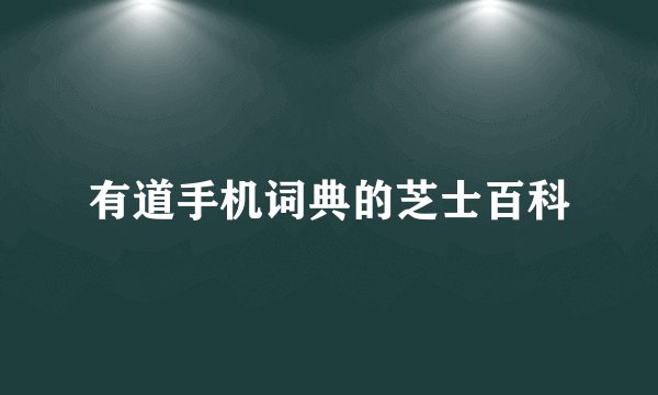 有道手机词典的芝士百科