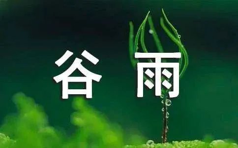 谷雨诗句