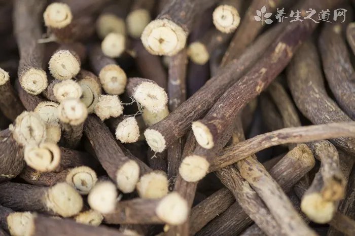 白头翁散