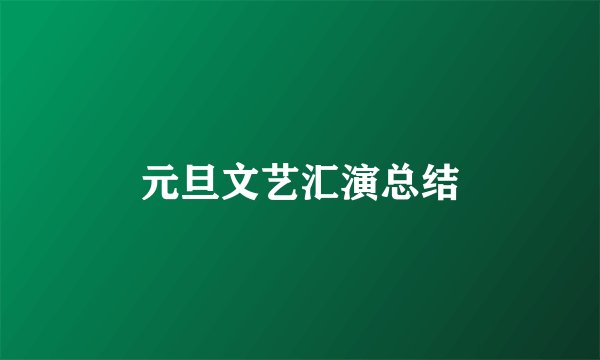 元旦文艺汇演总结