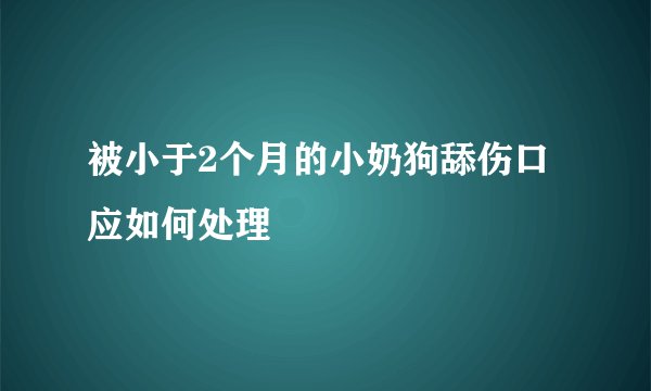 被小于2个月的小奶狗舔伤口应如何处理