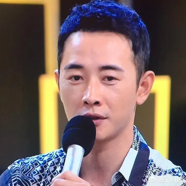 你怎么看电视剧《归去来》中王志文扮演的书望?