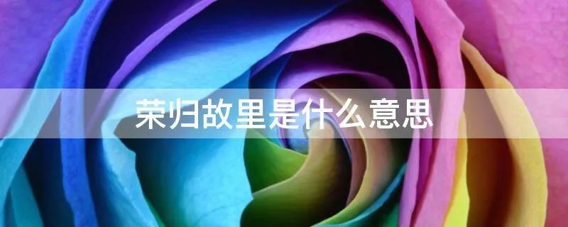荣归故里是什么意思