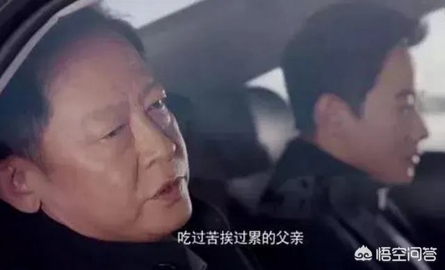你怎么看电视剧《归去来》中王志文扮演的书望?