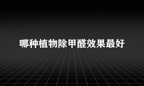 哪种植物除甲醛效果最好